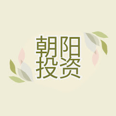 朝阳投资