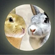 月うさぎ だいだい&アスカ先輩Rabbits in the Moon