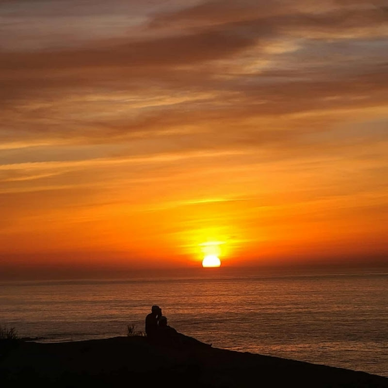 قصص من الواقع