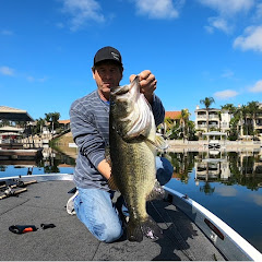 Seeken Bass