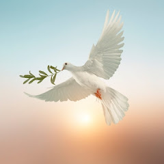 Christian movie clips