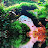 @aquascapebarendrecht946 Avatar