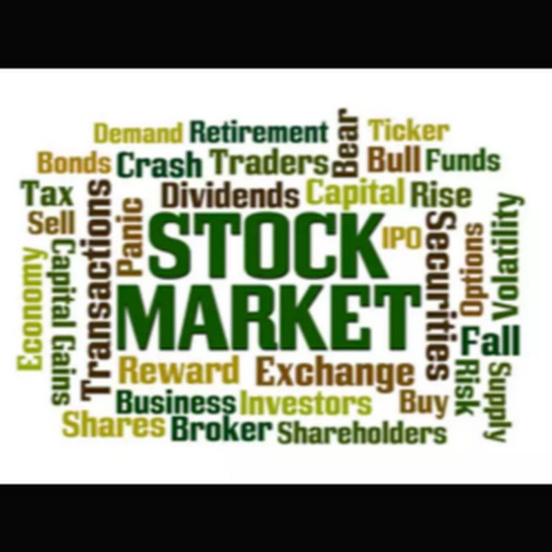 The Investors Minds