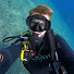 VgnqfvPuQpA-channel-avatar-Sam Whiting