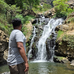 Roam with Sayem