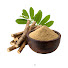 UFfivh9WxPQ-channel-avatar-Wild Root Wisdom