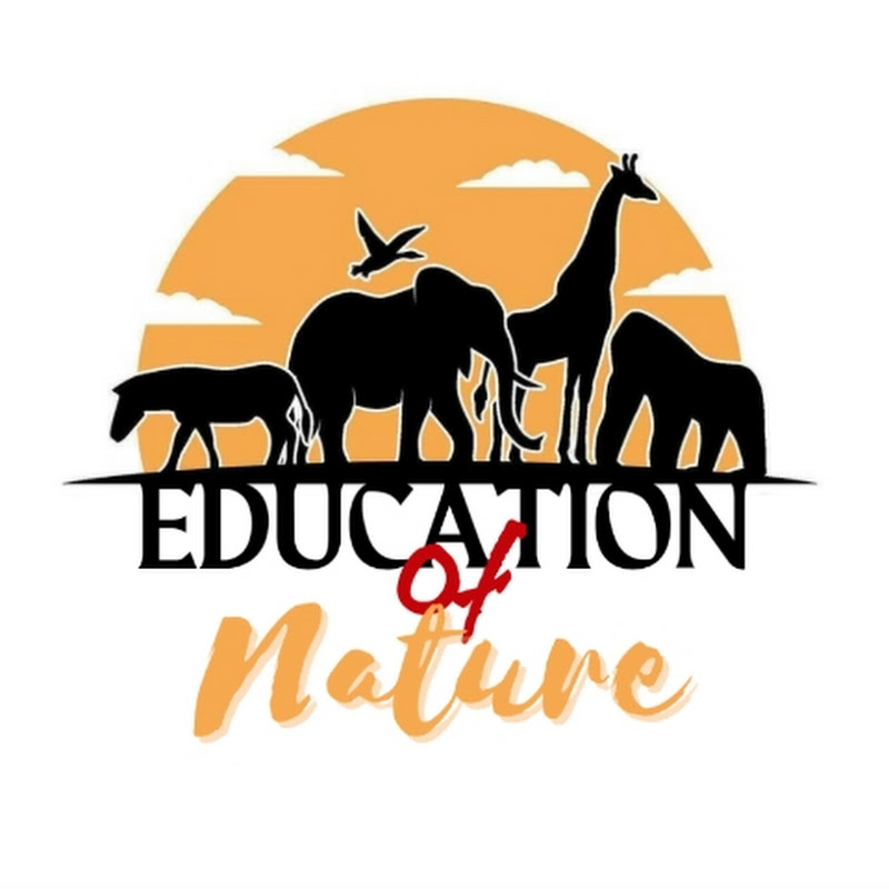Education of Nature