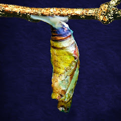 Soul Source Tarot avatar