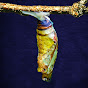 Soul Source Tarot Image Thumbnail