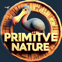 Primitive Nature avatar