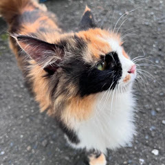 祐三子とさゆり