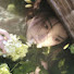 5evPT4aNt0I-channel-avatar-月兒說故事 and 夏夏小屋