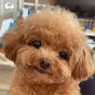 Woofy Paws