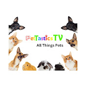 PetTasticsTV