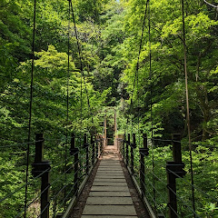 おうちキャンプアイコン画像