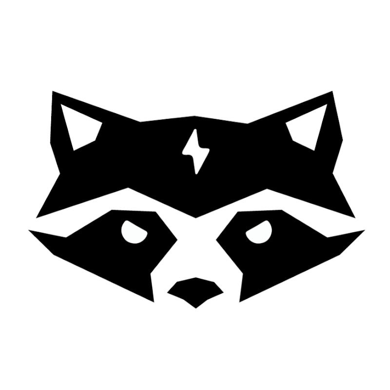 Cyber Raccoon