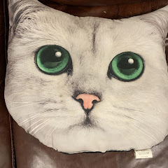 猫の恋やむ