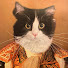 L3WZOXgM9Us-channel-avatar-marksius