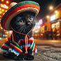 Cuentos del Gatito Negro