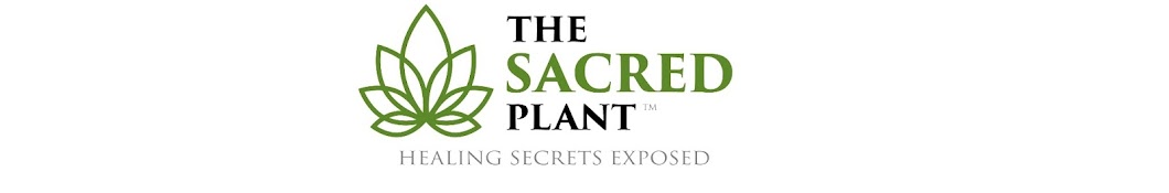 The Sacred Plant YouTube channel avatar