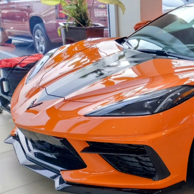 THE SHOWROOM 🇺🇲