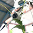 6ss8abFkoWo-channel-avatar-Edwin Esut