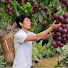 JwLMlVs5FCQ-channel-avatar-Mr. Tính Harvesting
