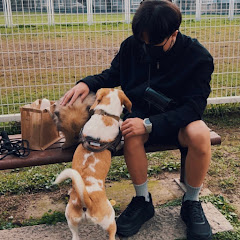 大樹BTREEアイコン画像