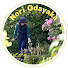 jvyhKfrPB1s-channel-avatar-Nori Odayaka 🍀のりおだやか