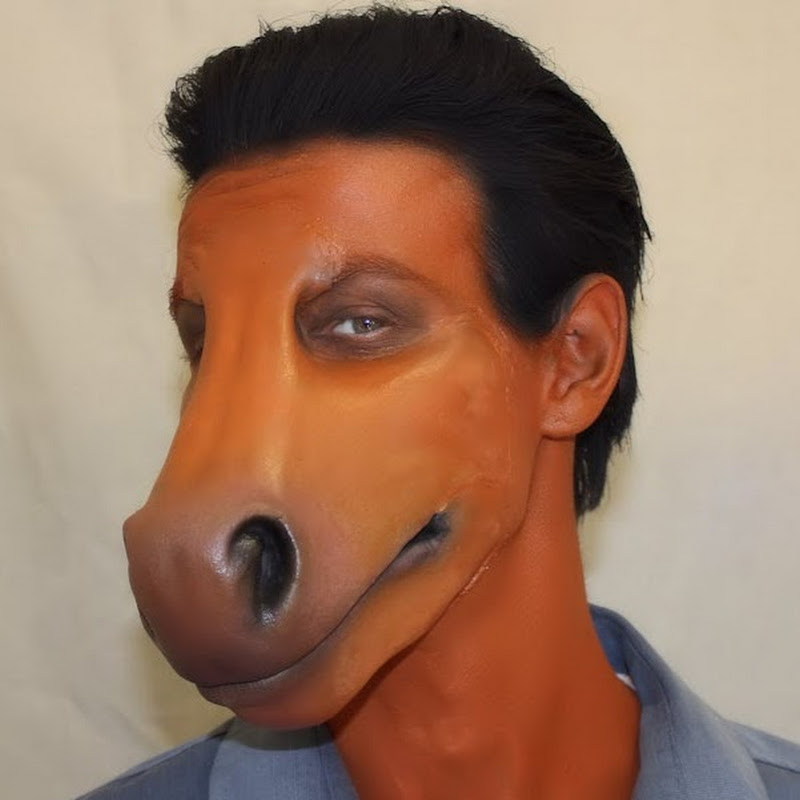 NorthFur FX