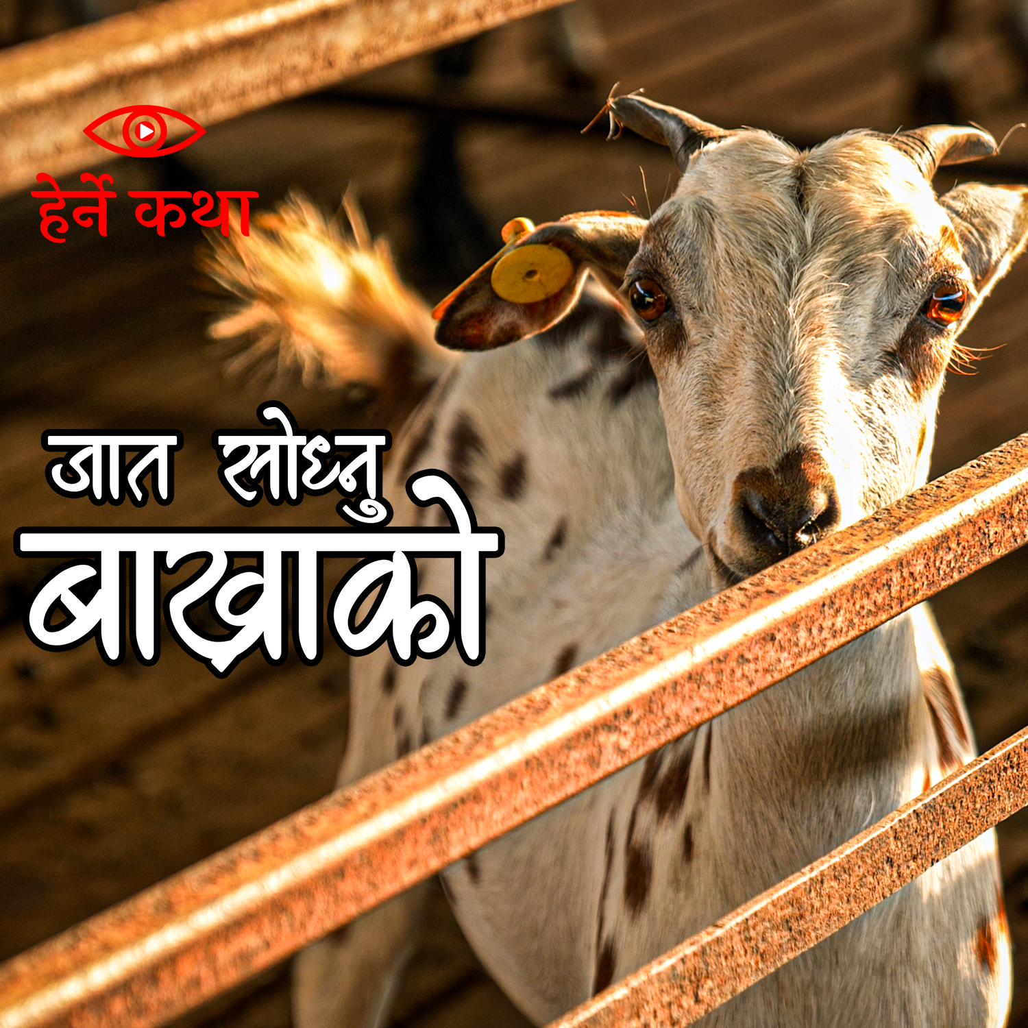 Post from Herne Katha