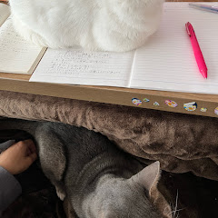 ねこのいる生活　MiliSunoアイコン画像