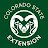 CSUExtension