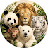 WOvxM_RSWb0-channel-avatar-Meet Japan Zoo
