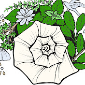 Wild Herbs with April 