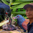 AxbxfEYFTPg-channel-avatar-Natural Bird83