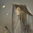 YKvFp8wiYic-channel-avatar-尘封的軌記