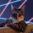 2qLuerYx2IA-channel-avatar-Joni