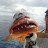 @FISHGEEKDAVE