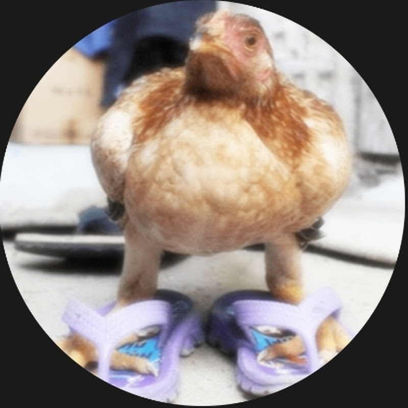 Kickmanser