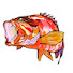4HCTw95c3E0-channel-avatar-Fishing Life