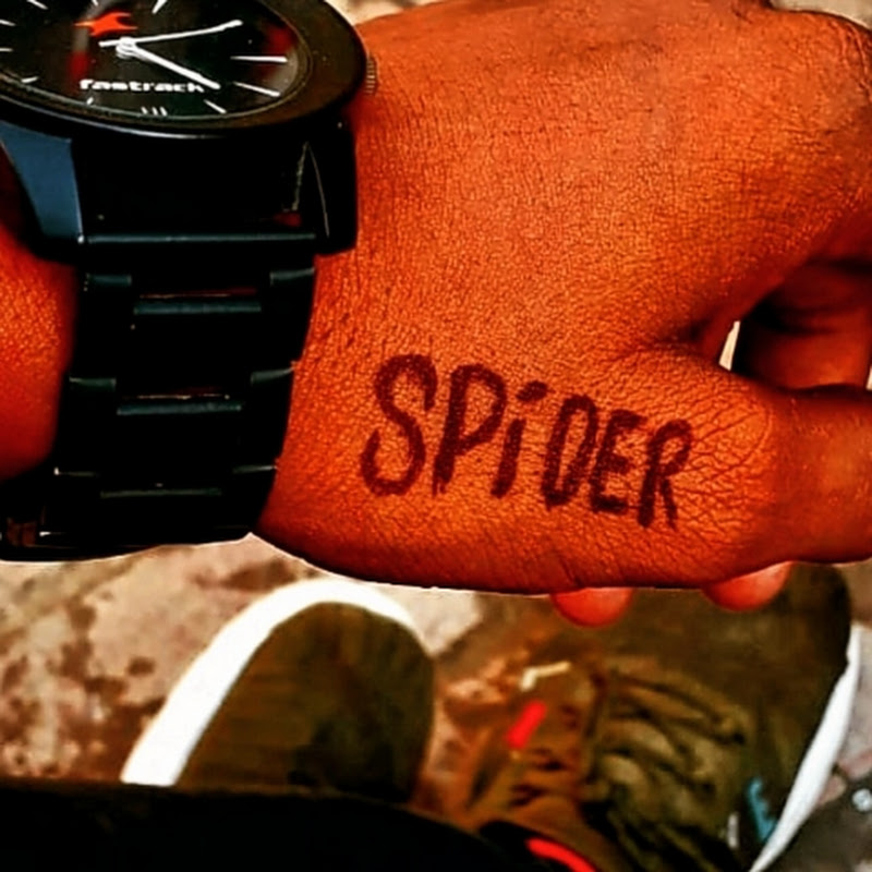 Spider Zig