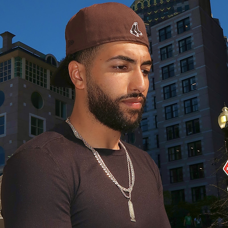 FliplikeZ icon