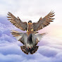 Falcon Peregrine and Pigeons logo