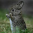 @drob8220's avatar