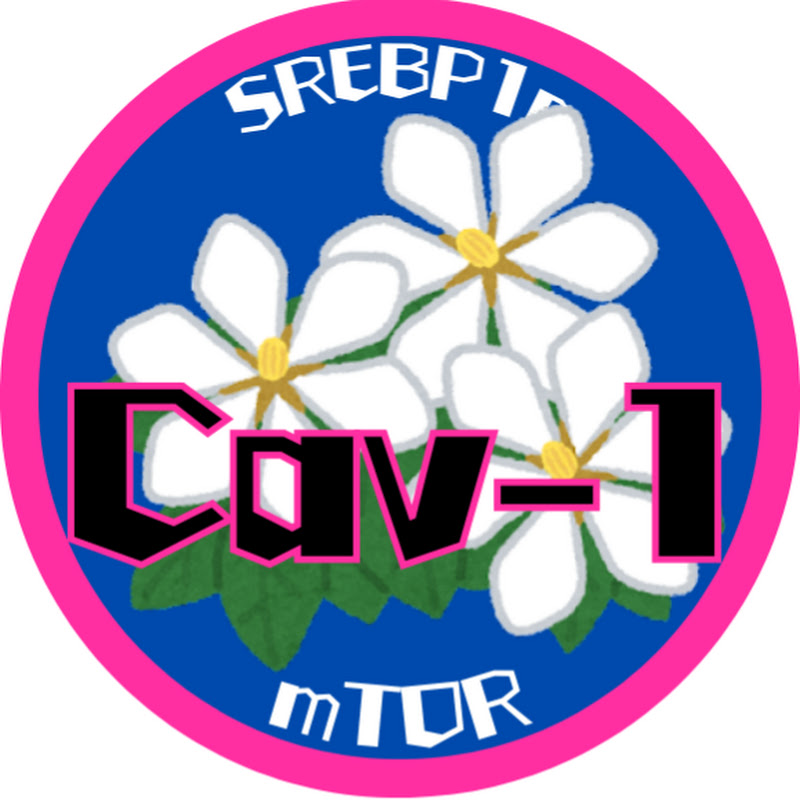 カベオリン-1【にじさんじとストグラ切り抜き】
