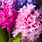 @InfiniteEternalLight711