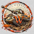 ENGMx1gekUo-channel-avatar-Scale Wonderland