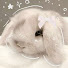 N2Od78HF4Qw-channel-avatar-sama's diary