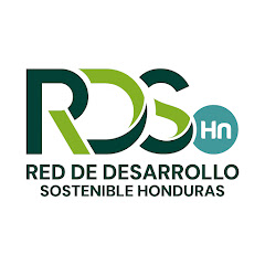 RDS Media